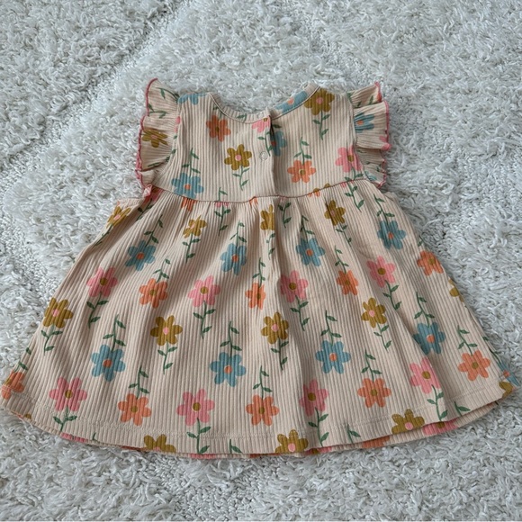 Wild Wawa Rib Flutter Set - Picture 7 of 8